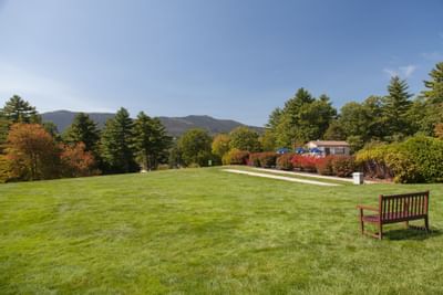 Large green field with a bench, bushes, trees, and a distant house under a blue sky.