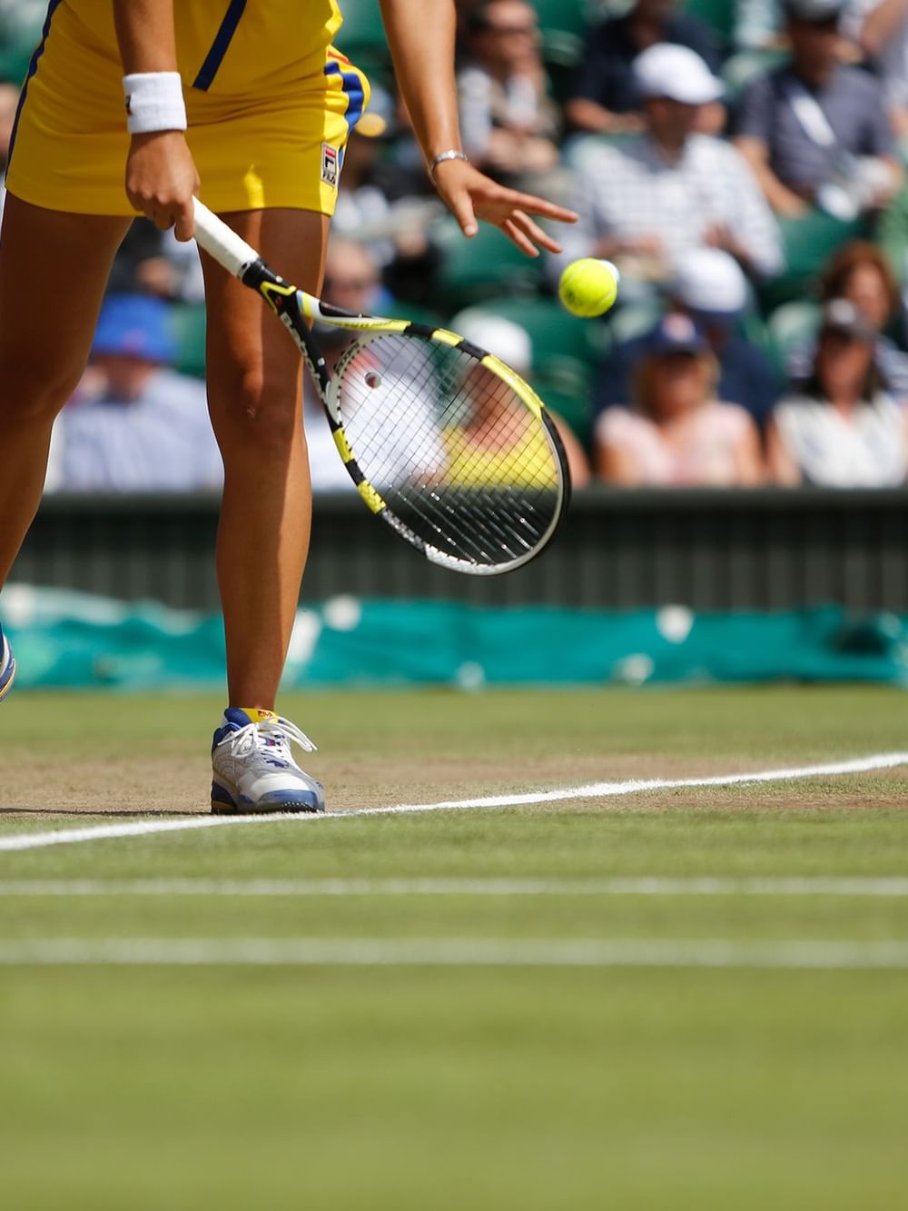 Tennis player preparing to hit the ball on a grass court with spectators in the background.