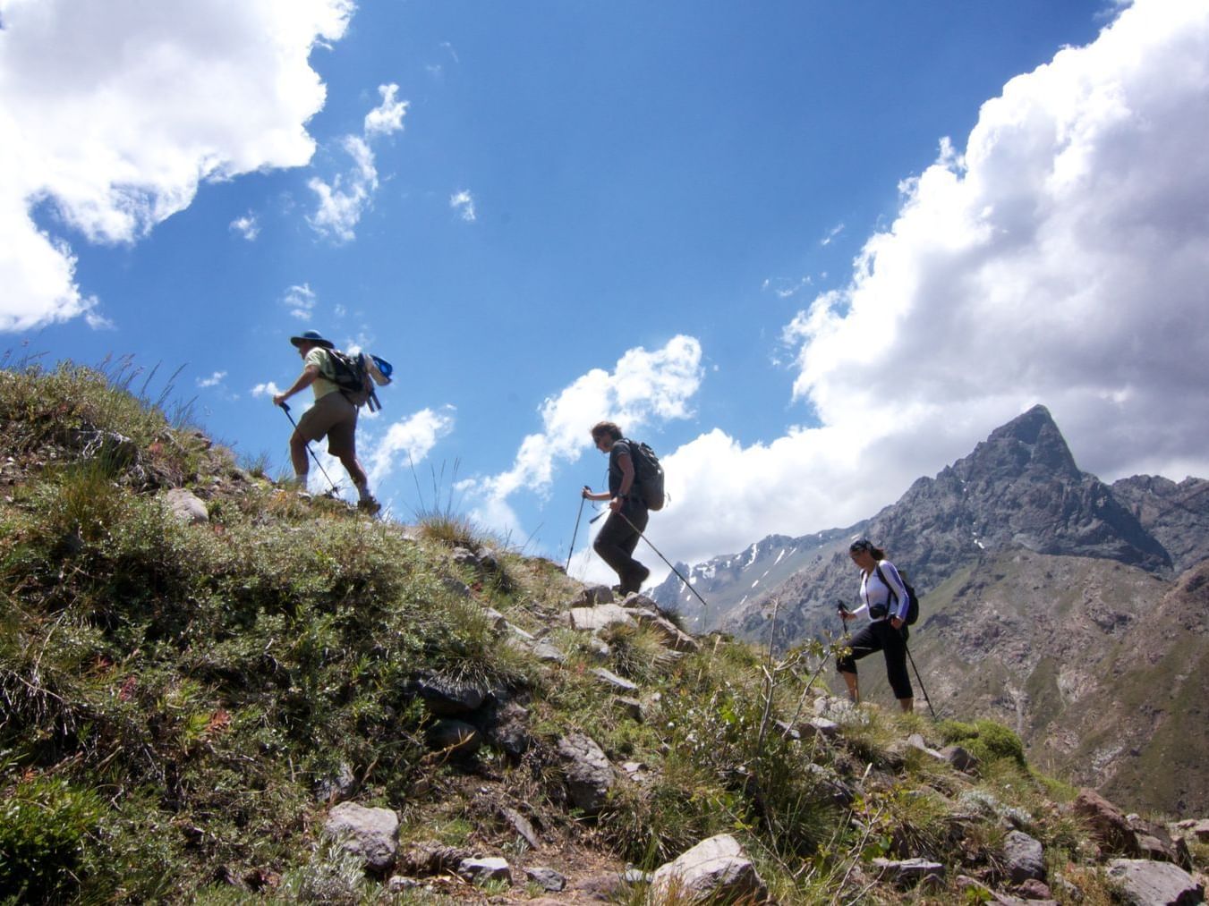 Trekking Mirador de Las Orquideas near NOI Puma Lodge Hotel
