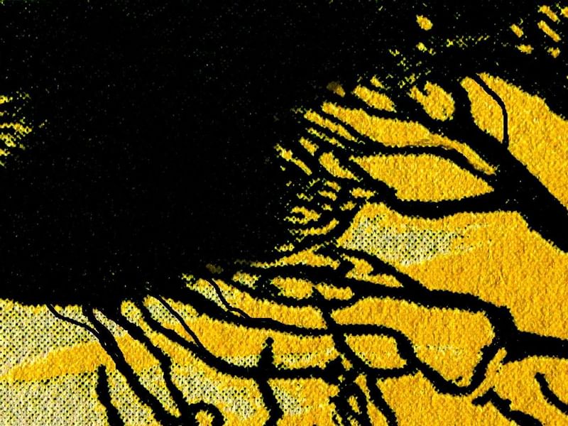 Closeup of art from Galleries near Pullman Bunker Bay Resort