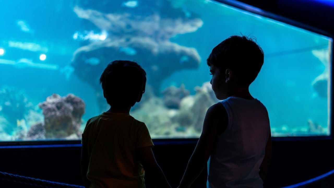 lugares para visitar en Guadalajara con niños