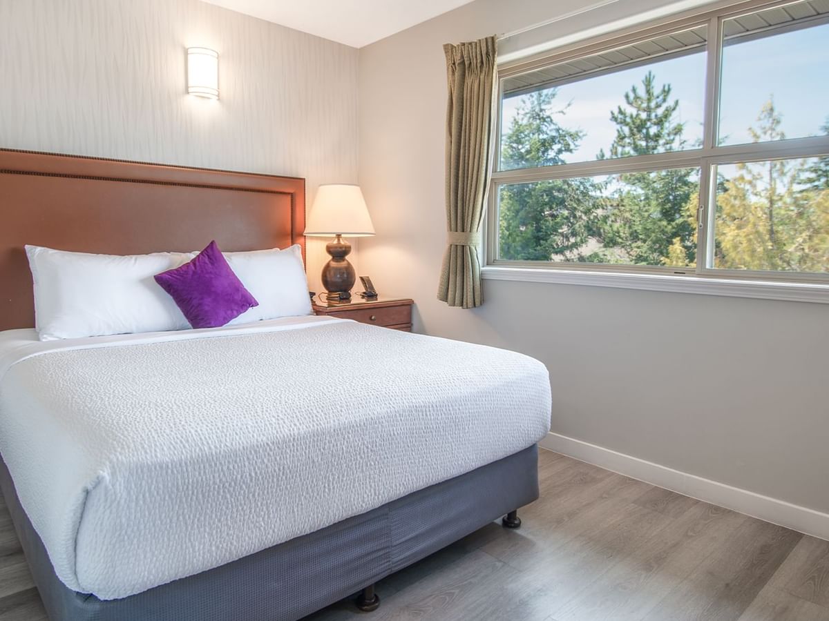 Hotel suite with queen bed