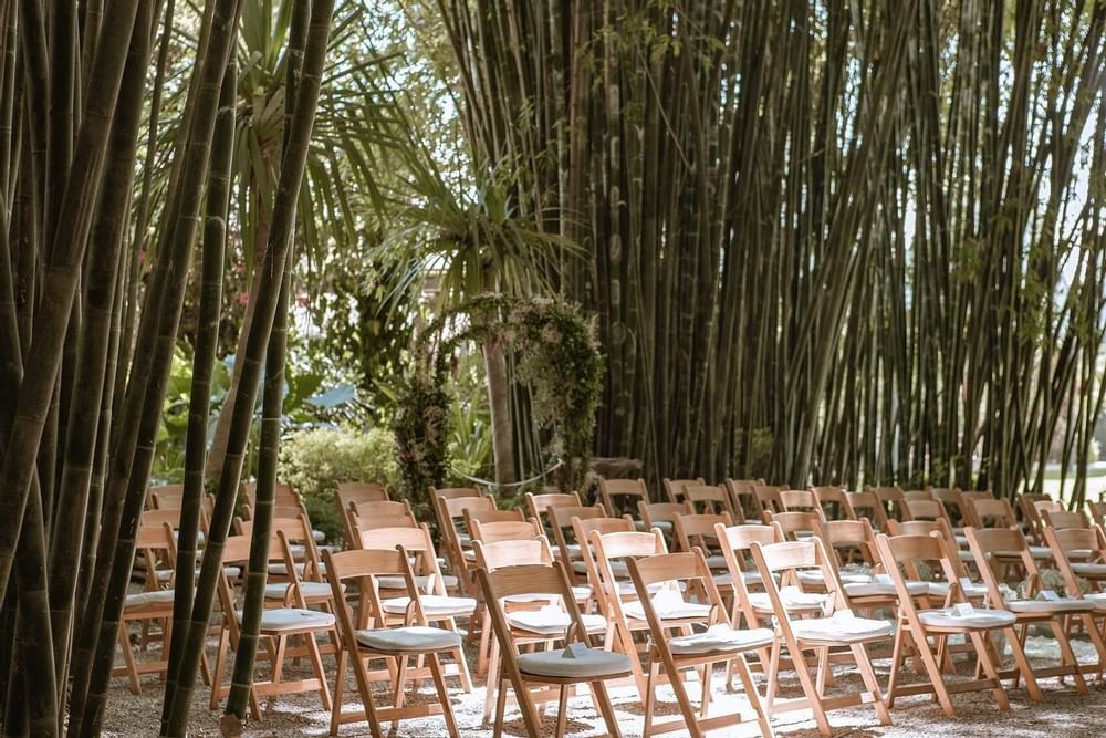 Montaje de sillas al aire libre, Colección Curamoria Huayacán Cuernavaca