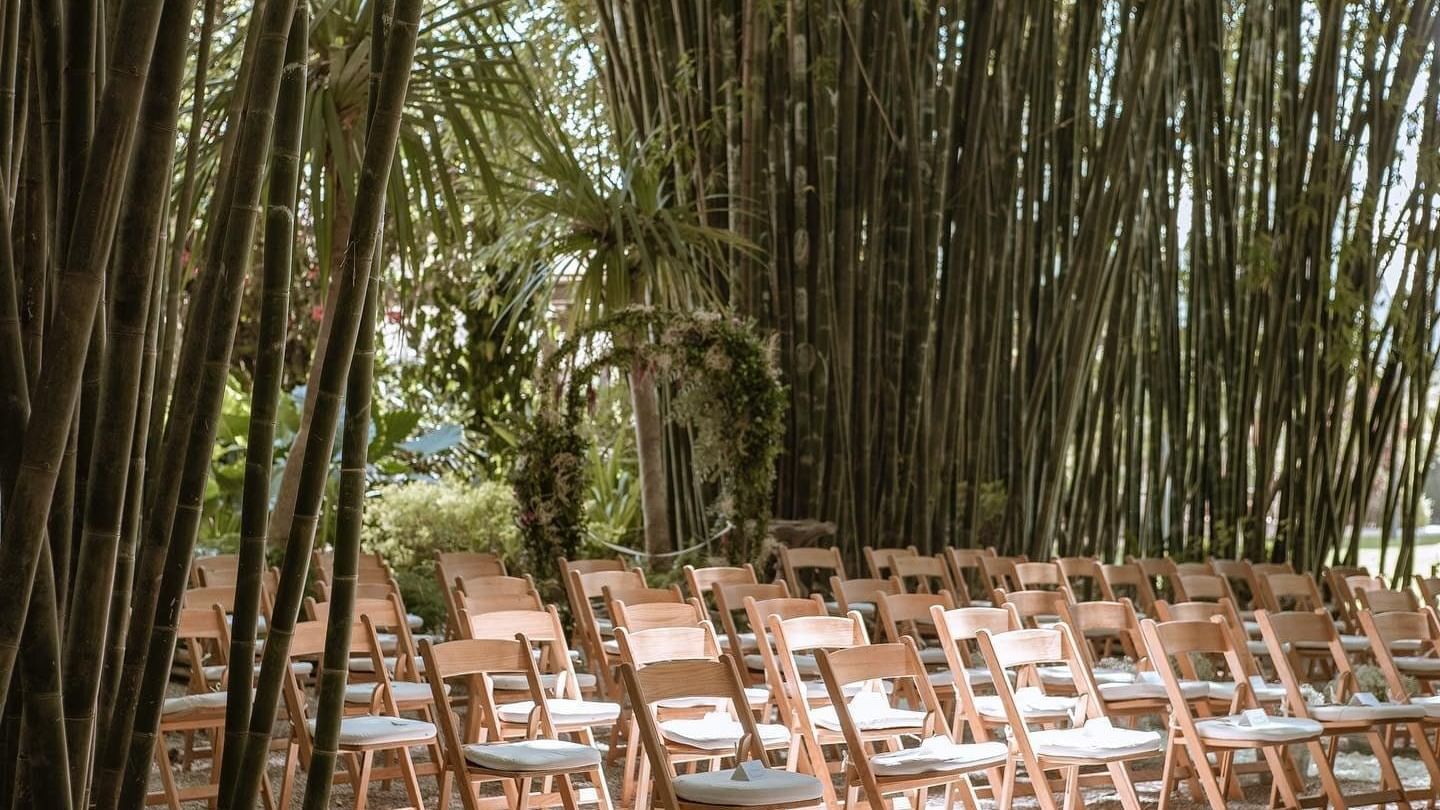 Chairs for an outdoor wedding, Huayacan Cuernavaca Curamoria