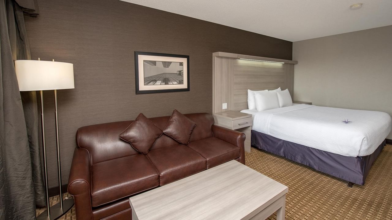 Modern hotel room with king bed, brown leather sofa, floor lamp, and framed artwork at Coast Calgary University Area Hotel by APA.