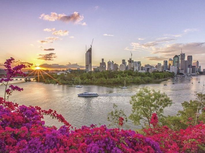 City view from the Botanic Gardens near Pullman & Mercure Brisbane King George Square