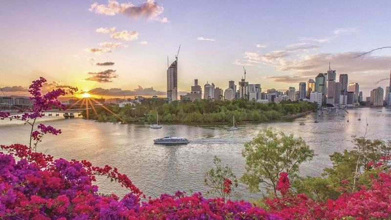 City view from the Botanic Gardens near Pullman & Mercure Brisbane King George Square
