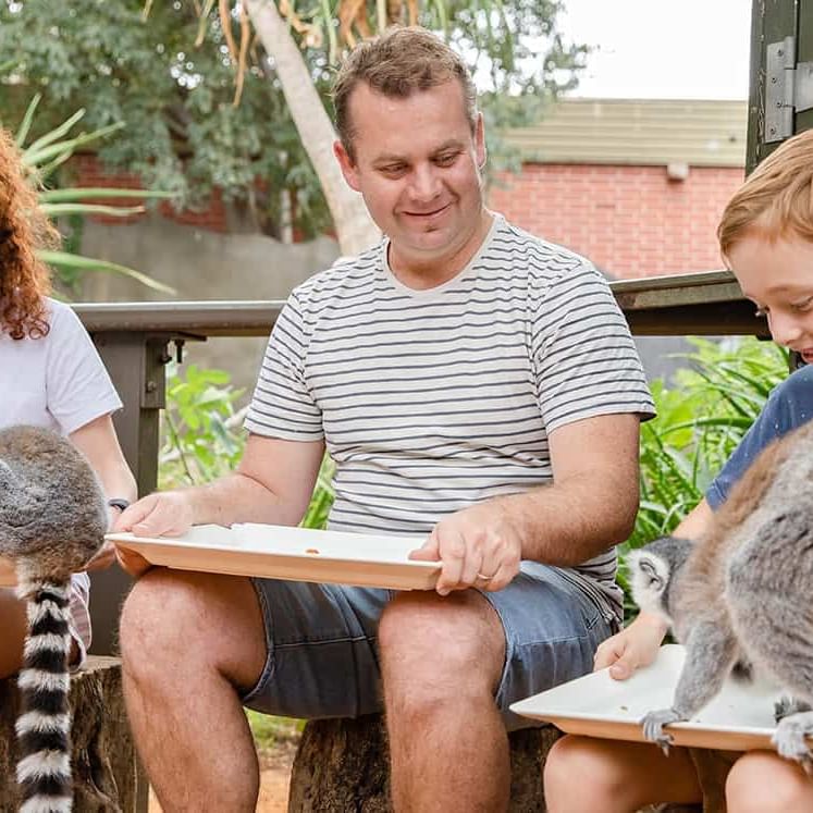 People at Lemur Encounter in Adelaide Zoo