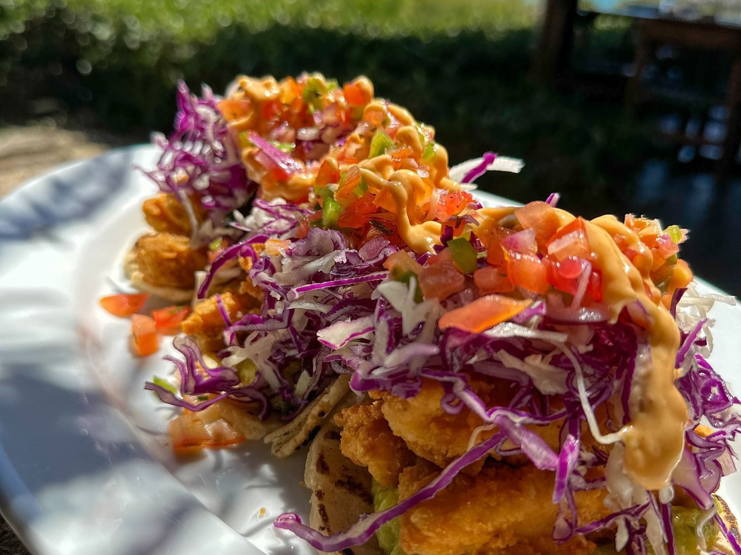 Fish tacos with purple cabbage on a white plate by a sunlit garden served at Morgan's Rock Reserve & Ecolodge