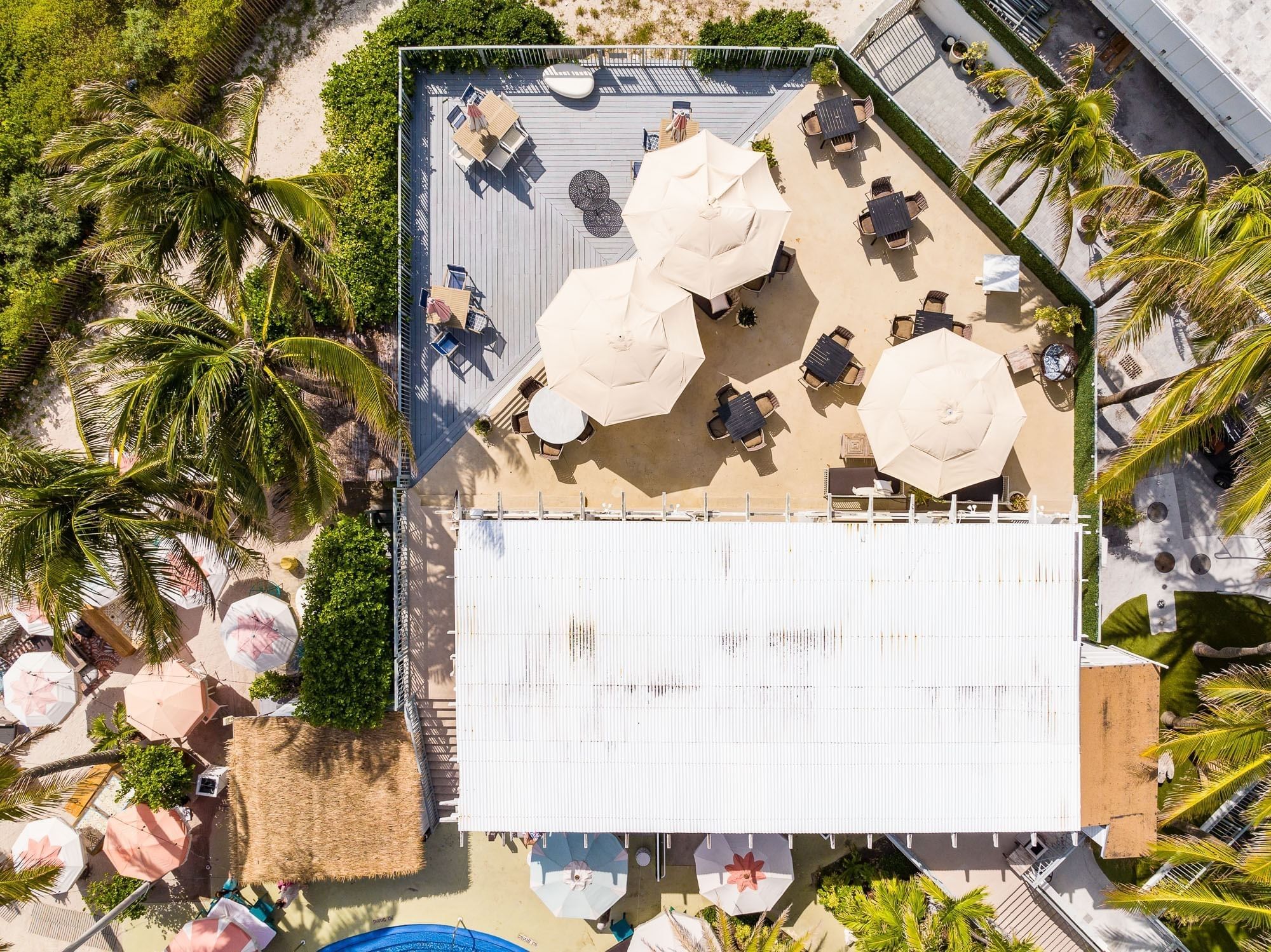 Aerial view of a beachside hotel with outdoor seating and palm trees.