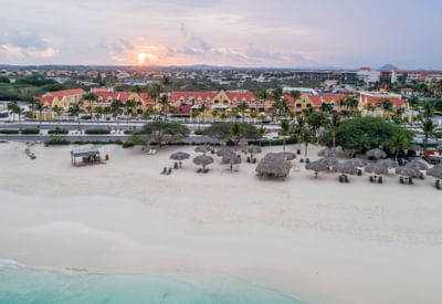 Distant aerial view of the beach, city & Amsterdam Manor Resort