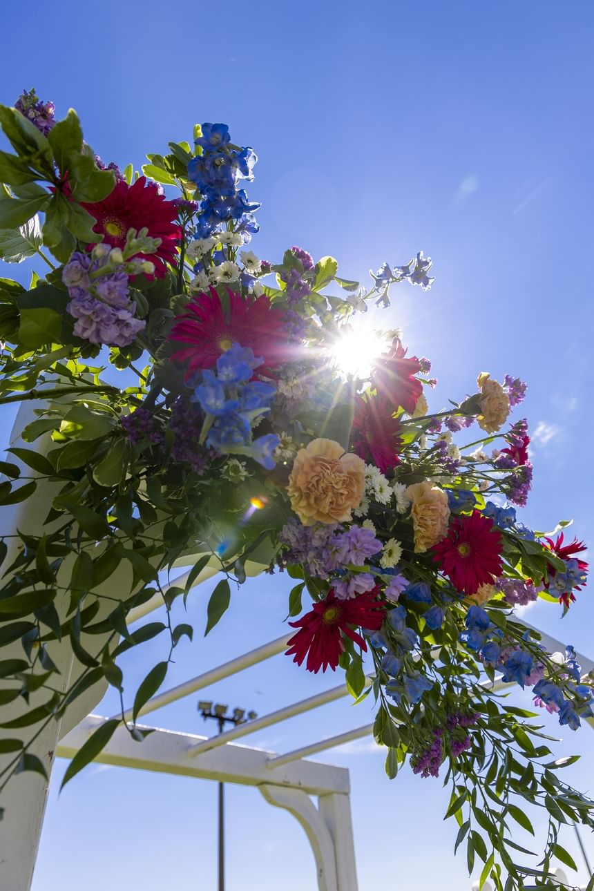 Bright sunbeams shining under a vibrant floral wedding arch against a blue sky at Rodd Brudenell River Resort