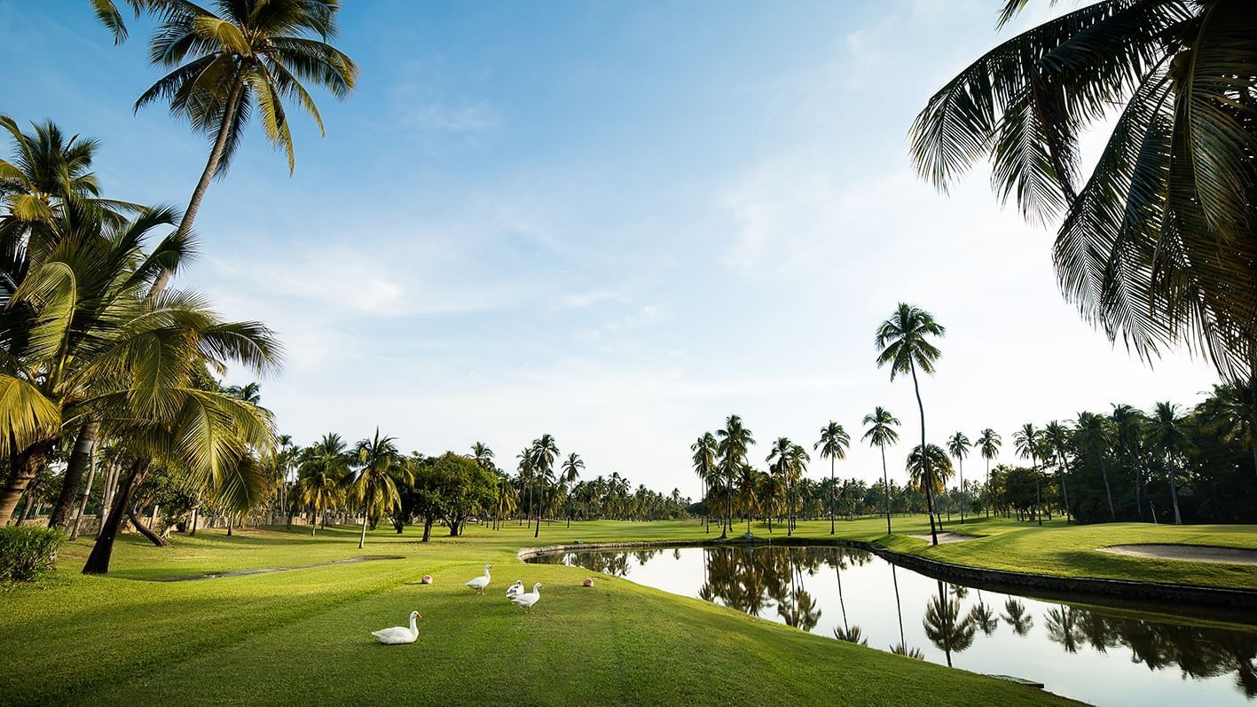 Landscape view of Golf course at Princess Mundo Imperial