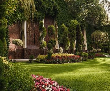 Garden area with plants at Hotel Emperador Buenos Aires
