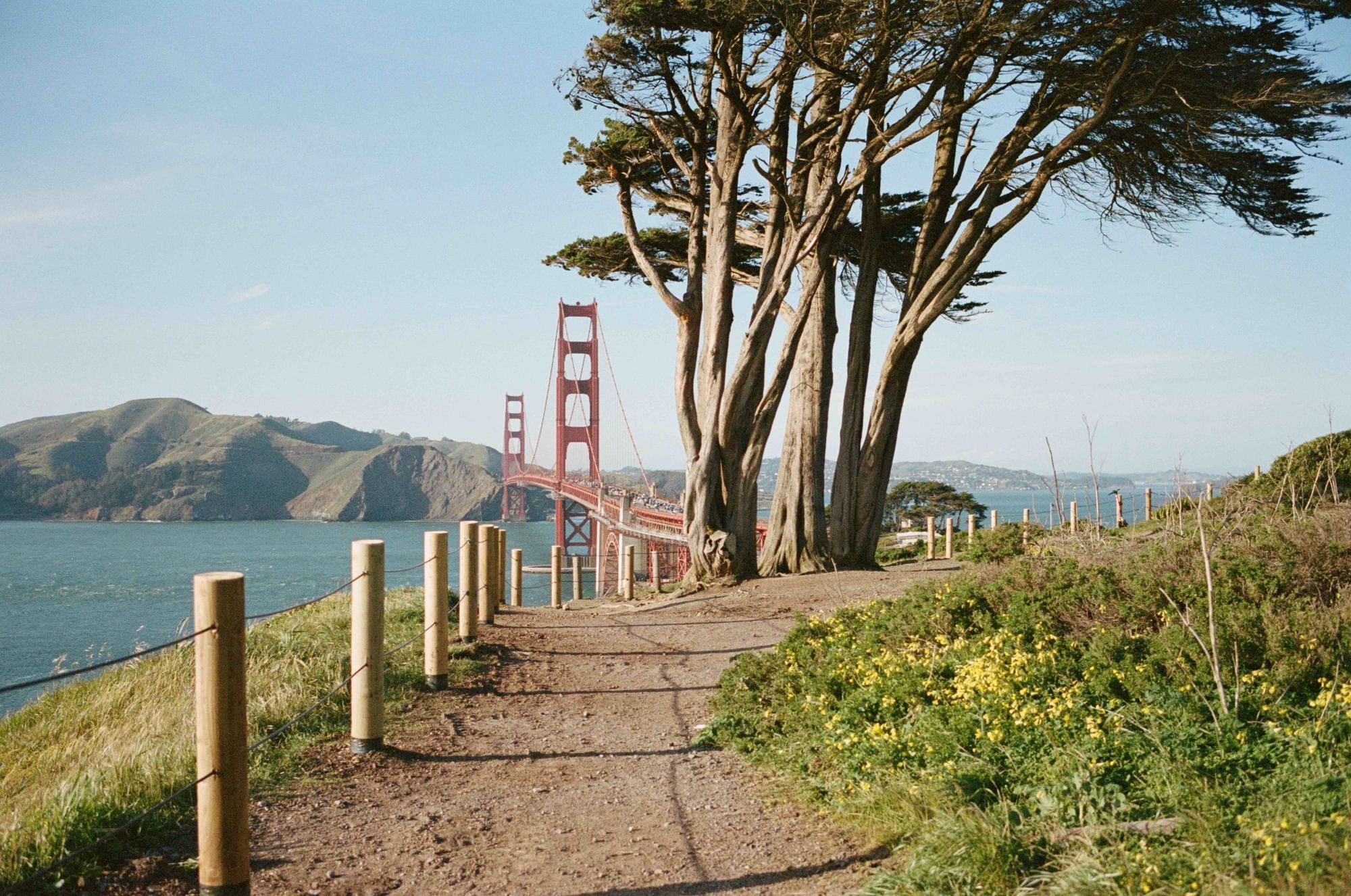 A pathway with trees and a view of the Golden Gate Bridge