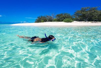 A lady snorkeling at Shark Bay near Heron Island Resort