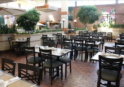 Dining tables under skylights, near indoor trees and a mural, in Garden Court Restaurant at Glenmore Inn & Convention Centre