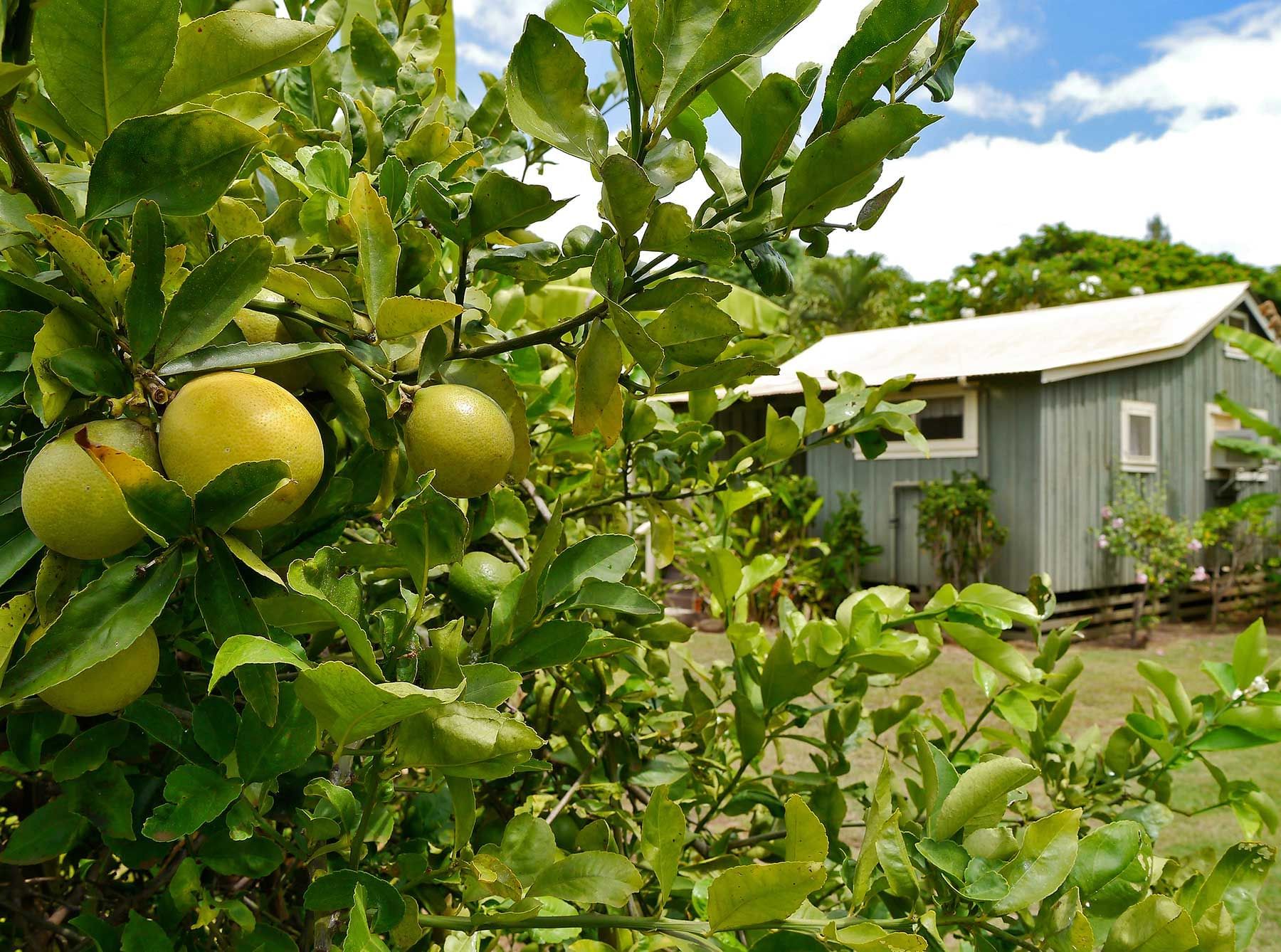Waimea Plantation Cottages