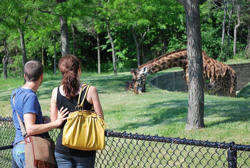 Toronto Zoo | 25 Awesome Things To Do In Toronto | King Blue Hotel Blog
