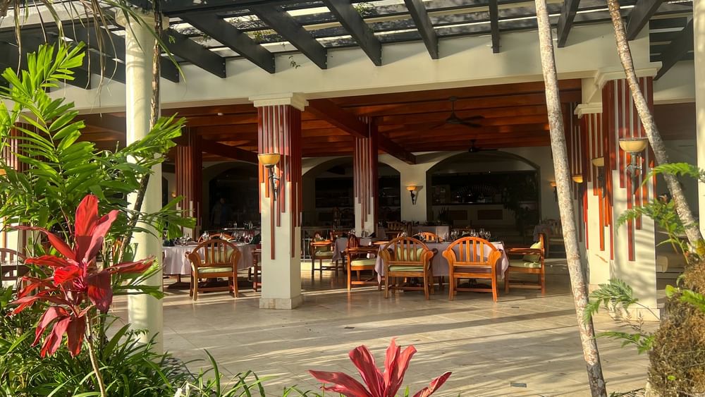 Wooden chairs by white tables under a dark pergola near vibrant red leaves at in Pappagallo Warwick Fiji Resort and Spa