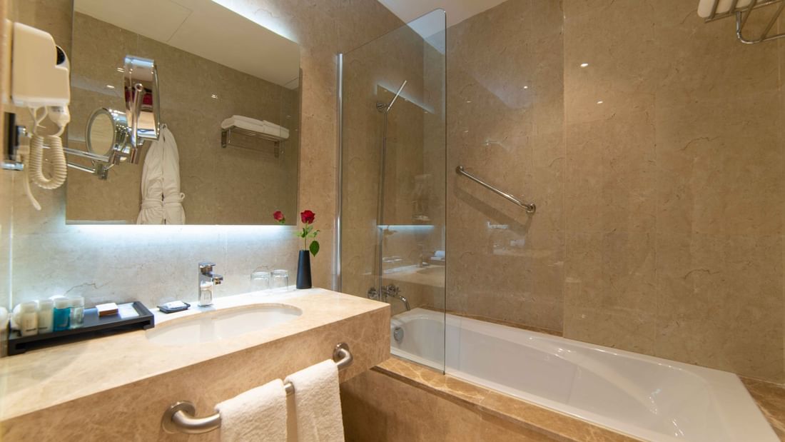 ambassador11_suite