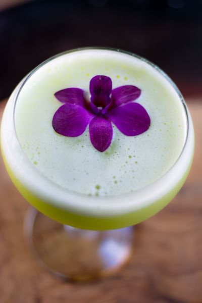 Cocktail