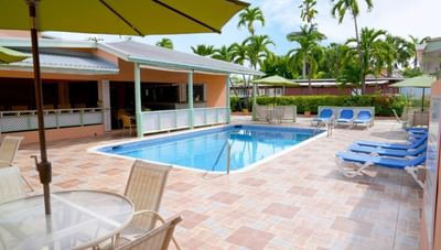 Sparkling blue swimming pool surrounded by comfortable lounge chairs and tropical palms at Worthing Court Apartment
