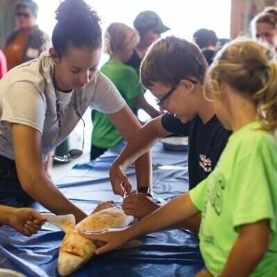 Atlantic white shark center education, kids with teacher in front of small shark