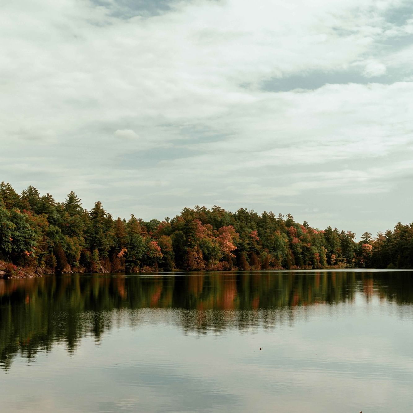 Ottawa-Gatineau fall foliage