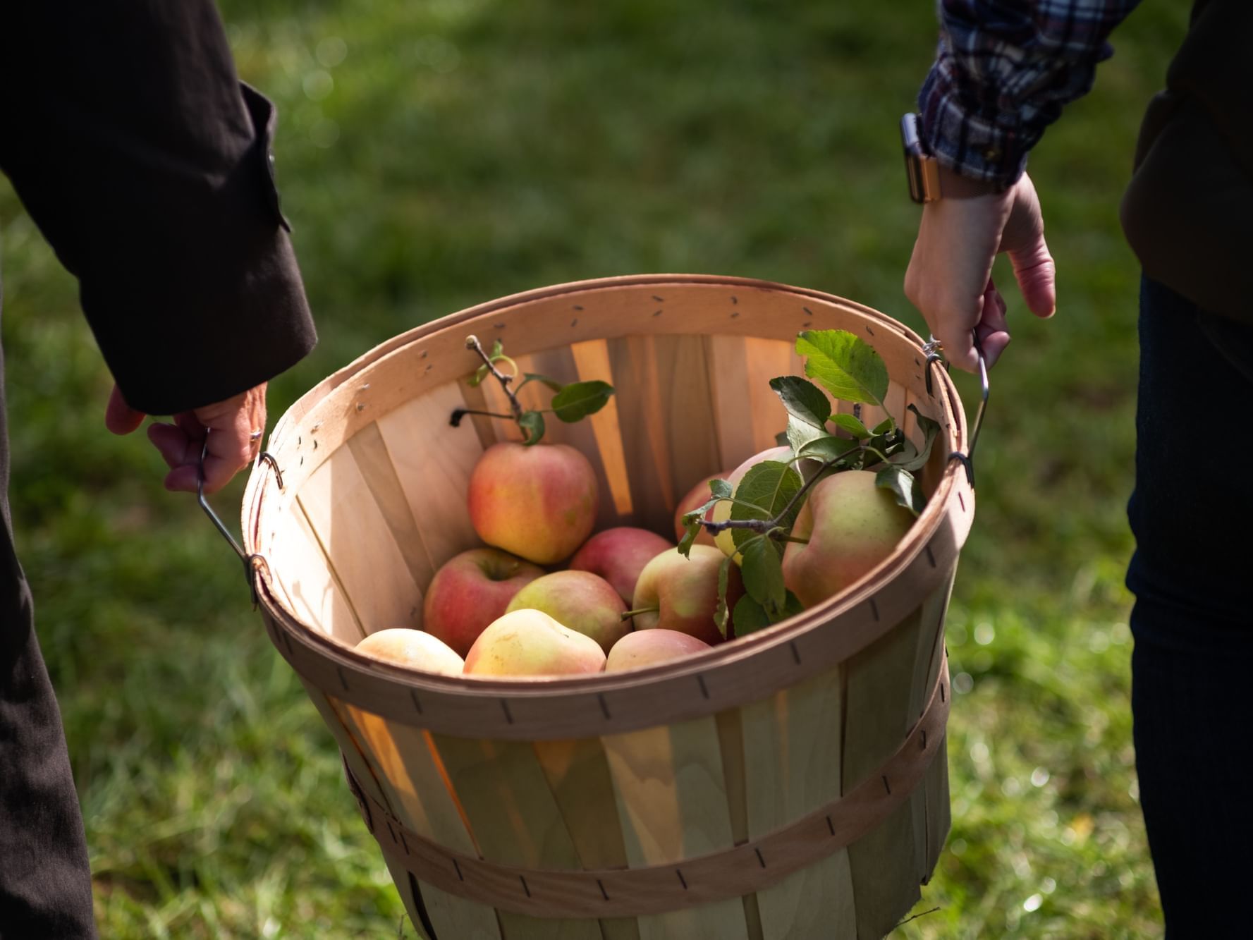 Two people holding a basket of apples