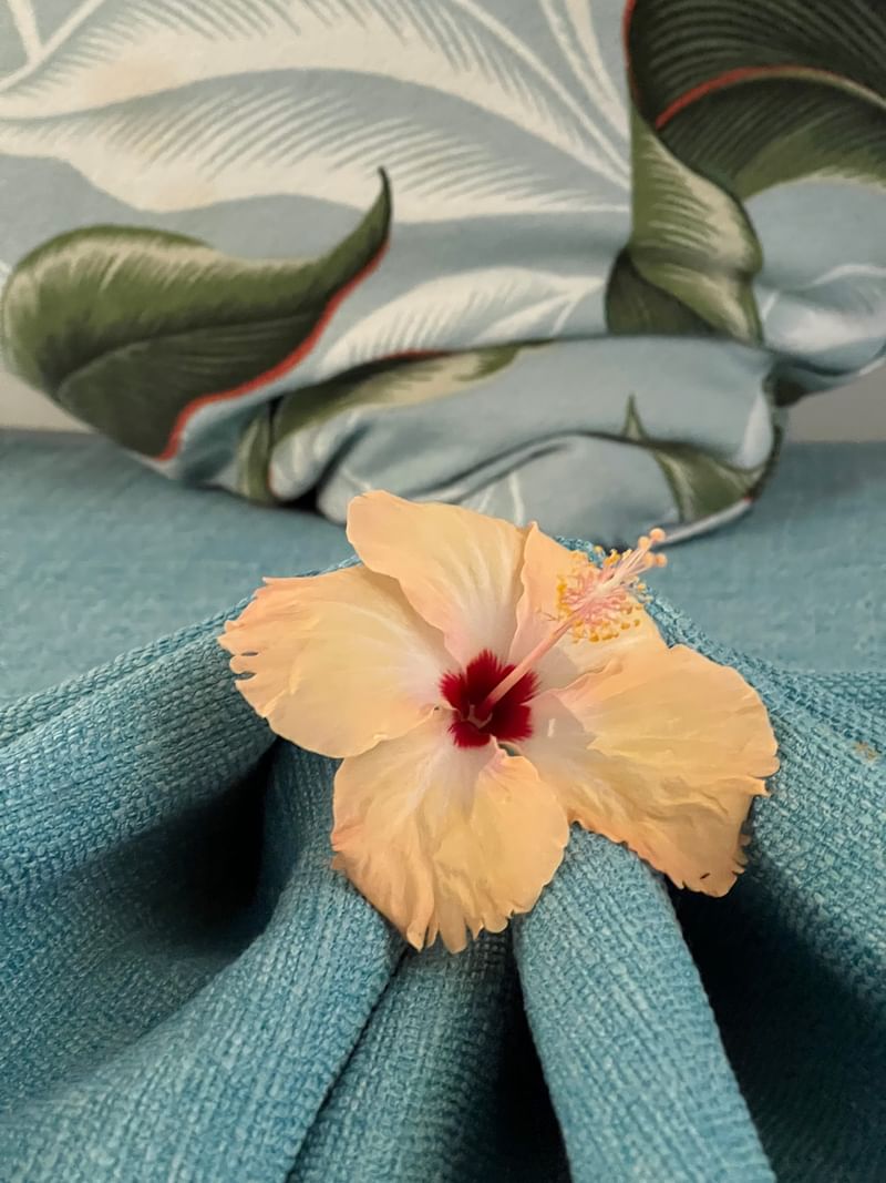 Hibiscus flower on blue cloth with leaf pattern in background at Tambua Sands Beach Resort Sigatoka.