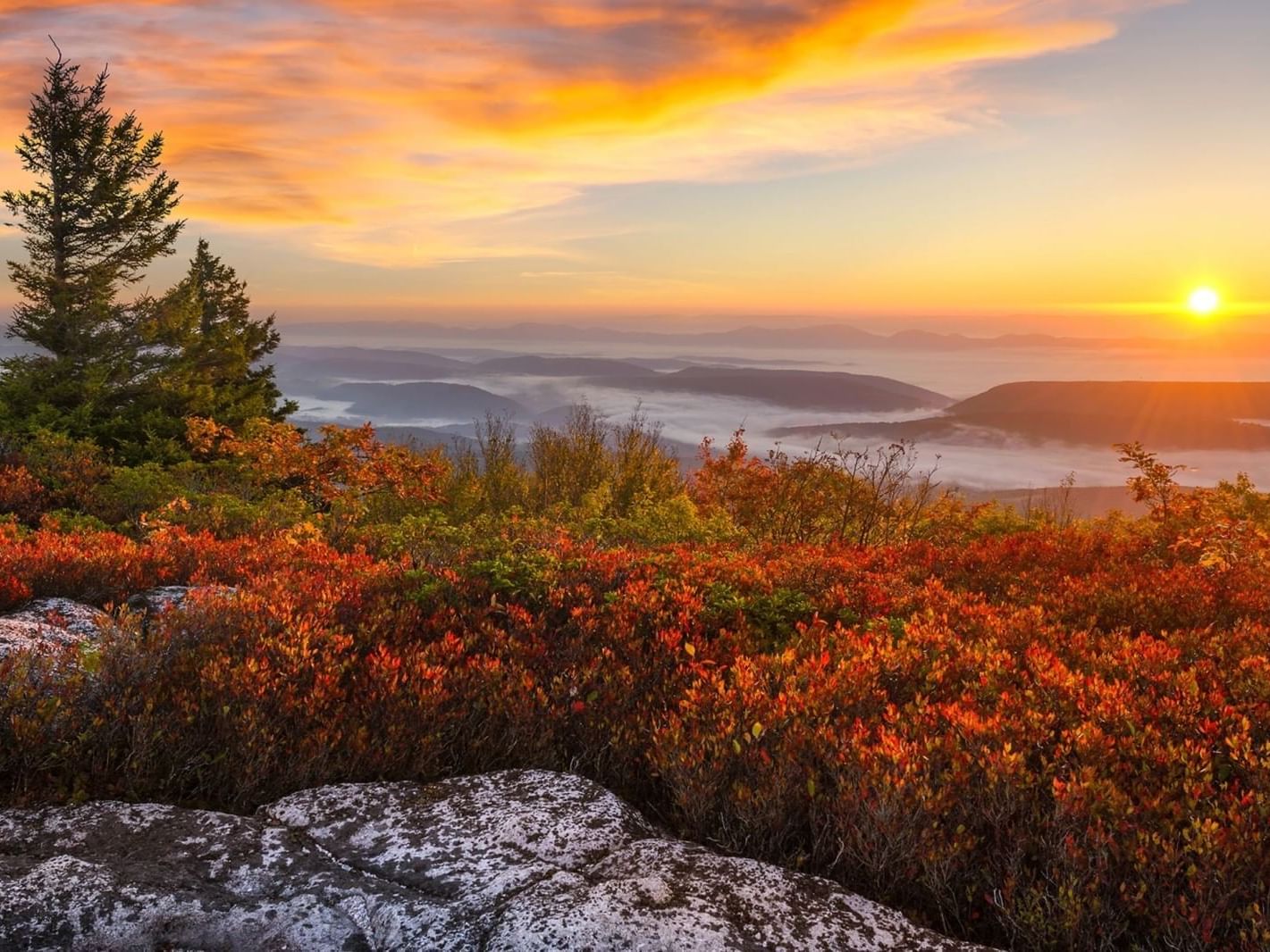 Sunrise illuminating Dolly Sods with autumn plants near South Branch Inn Romney