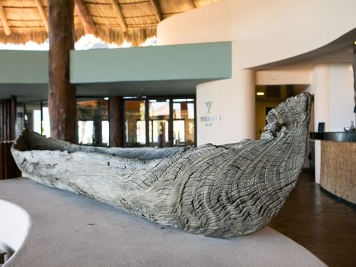 Canoa rústica de madera con un Textura en un mostrador dentro del restaurante Pitahayas en Hacienda Del Mar Los Cabos.
