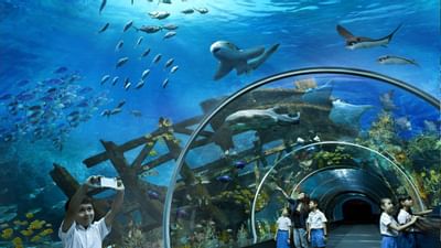 Kids enjoying Aquarium at Marine Life Park near Amara Hotels
