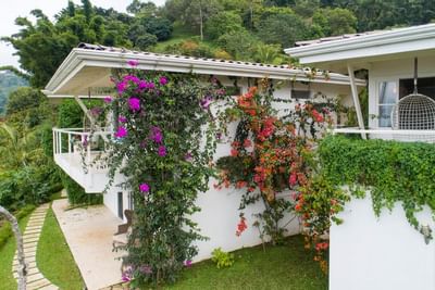 Exterior view of Retreat Costa Rica with wall plants