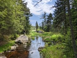 Barnum Brook trail at the Paul Smiths Visitors Interpretive Center near High Peaks Resort