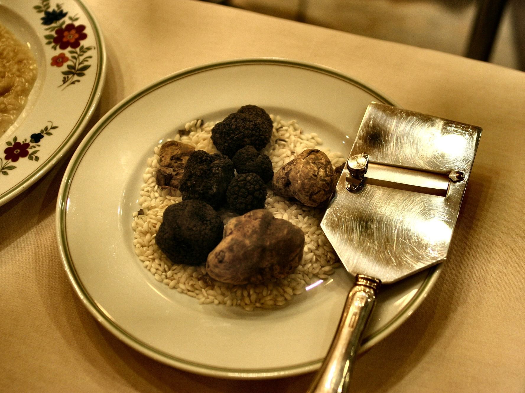 Feast on Truffles in Boston Harbor hotel