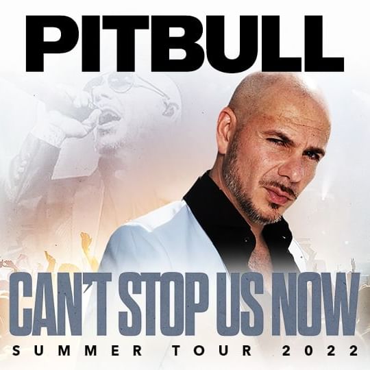 Pitbull in a suit against a light background