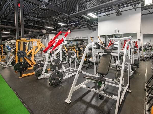 Modern gym with various weight machines, black weight plates, and a black bench in a well-lit space.