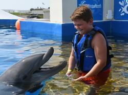 Swim with Dolphins at Marineland