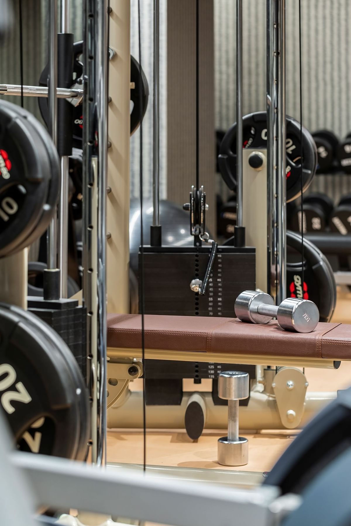 Gym med två 10 kg hantlar på brun bänk och andra träningsutrustningar.