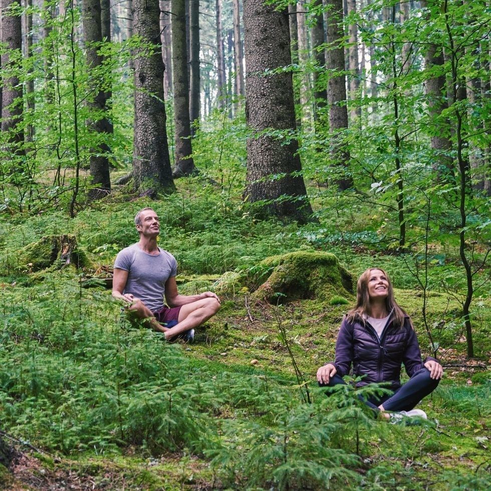 Zwei Personen meditieren im grünen Wald während der Waldwanderung der fünf Sinne