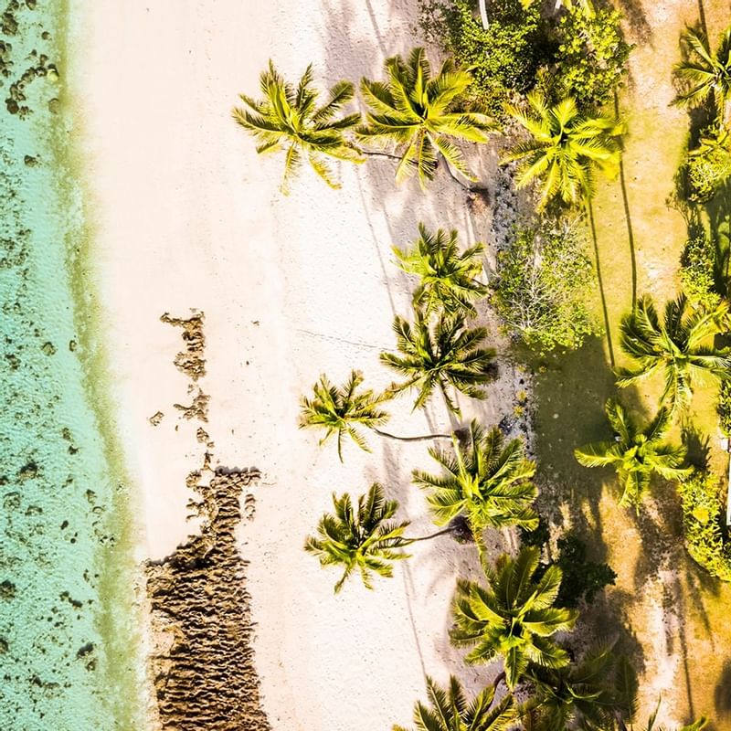 Aerial view of the Pools and beach at Tambua Sands Resort
