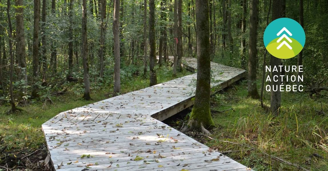 Wooden boardwalk winding through a lush green forest with Nature Action Québec logo at Warwick Le Crystal Montreal
