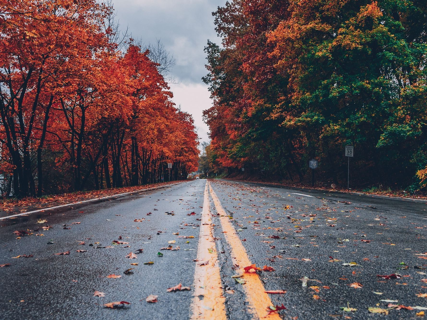 Fall-In-Nashville