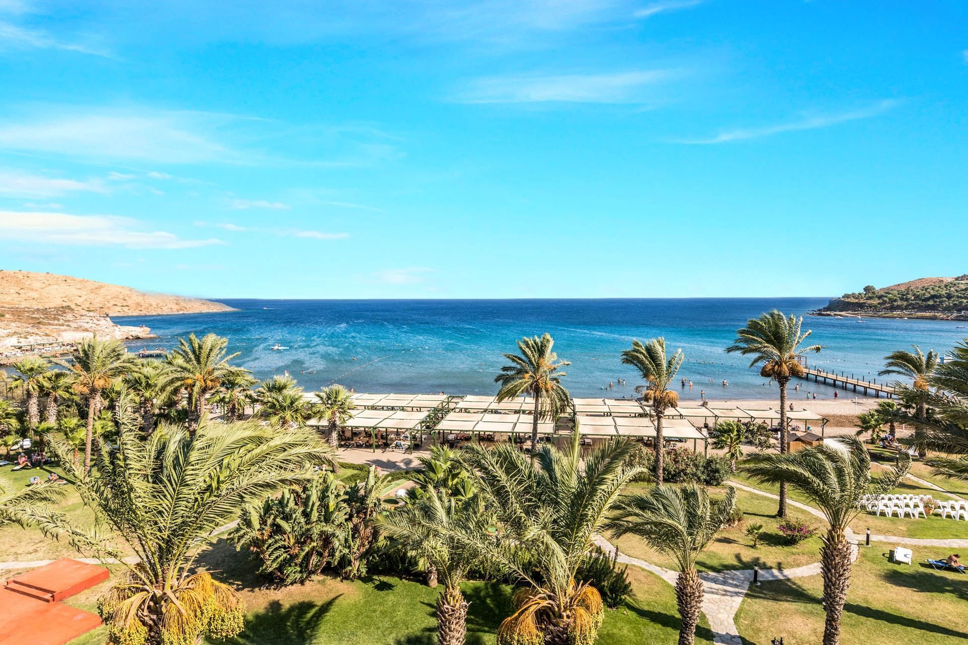 Palm and coconut trees by the beach at Bodrum Imperial