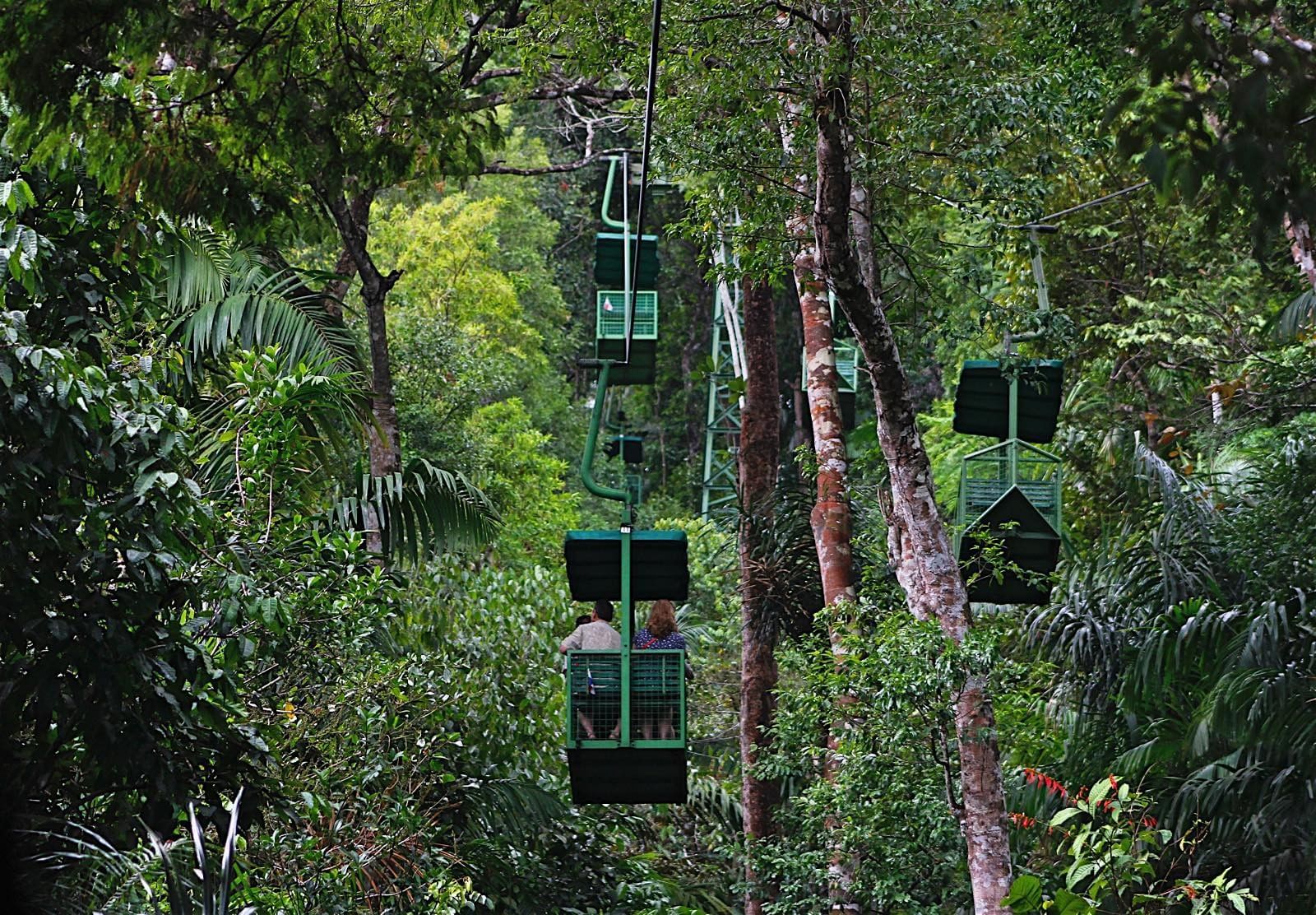 The BEST  Rainforest Outdoor sports 2024 - FREE Cancellation