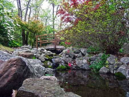 Peaceful view of a wooden footbridge crossing a small stream in Lendonwood Gardens near Shangri-La Monkey Island