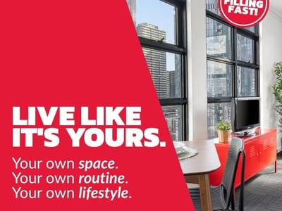 339 Swanston Open For 2026!