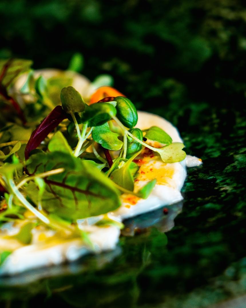 Close-up of a salad topped with greens served on a textured green plate at The Kitchens